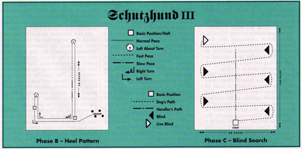 Schutzhund obedience and protection patterns